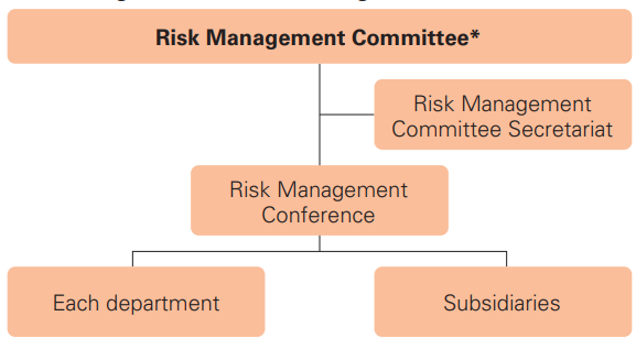 Risk Management Committee Diagram