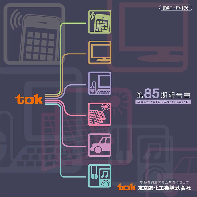 2015年3月期報告書