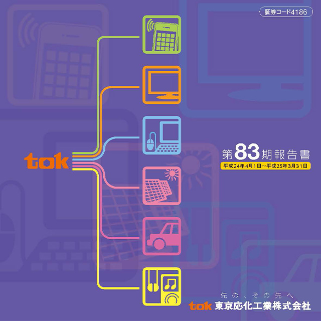 2013年3月期報告書