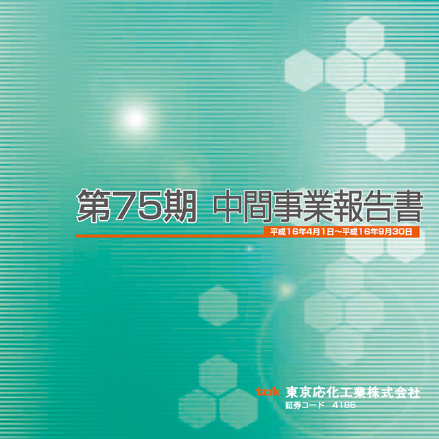 2005年3月期中間事業報告書